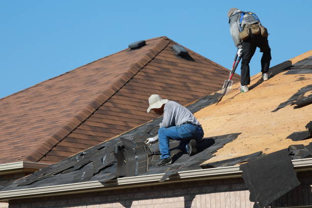 Best Cold Roofs  in Carlisle, OH
