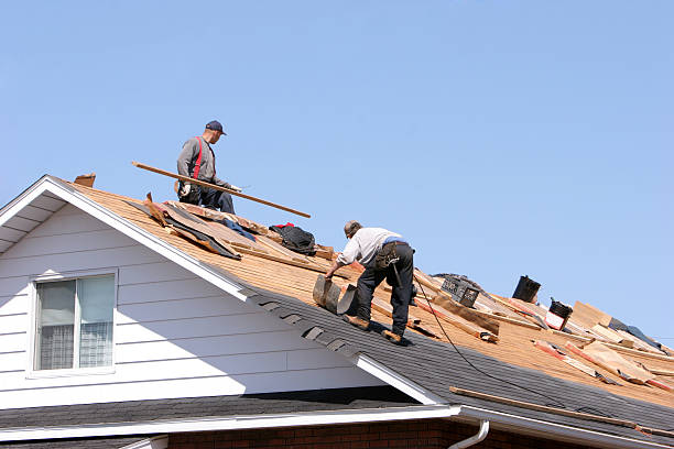 Best Asphalt Shingle Roofing  in Carlisle, OH